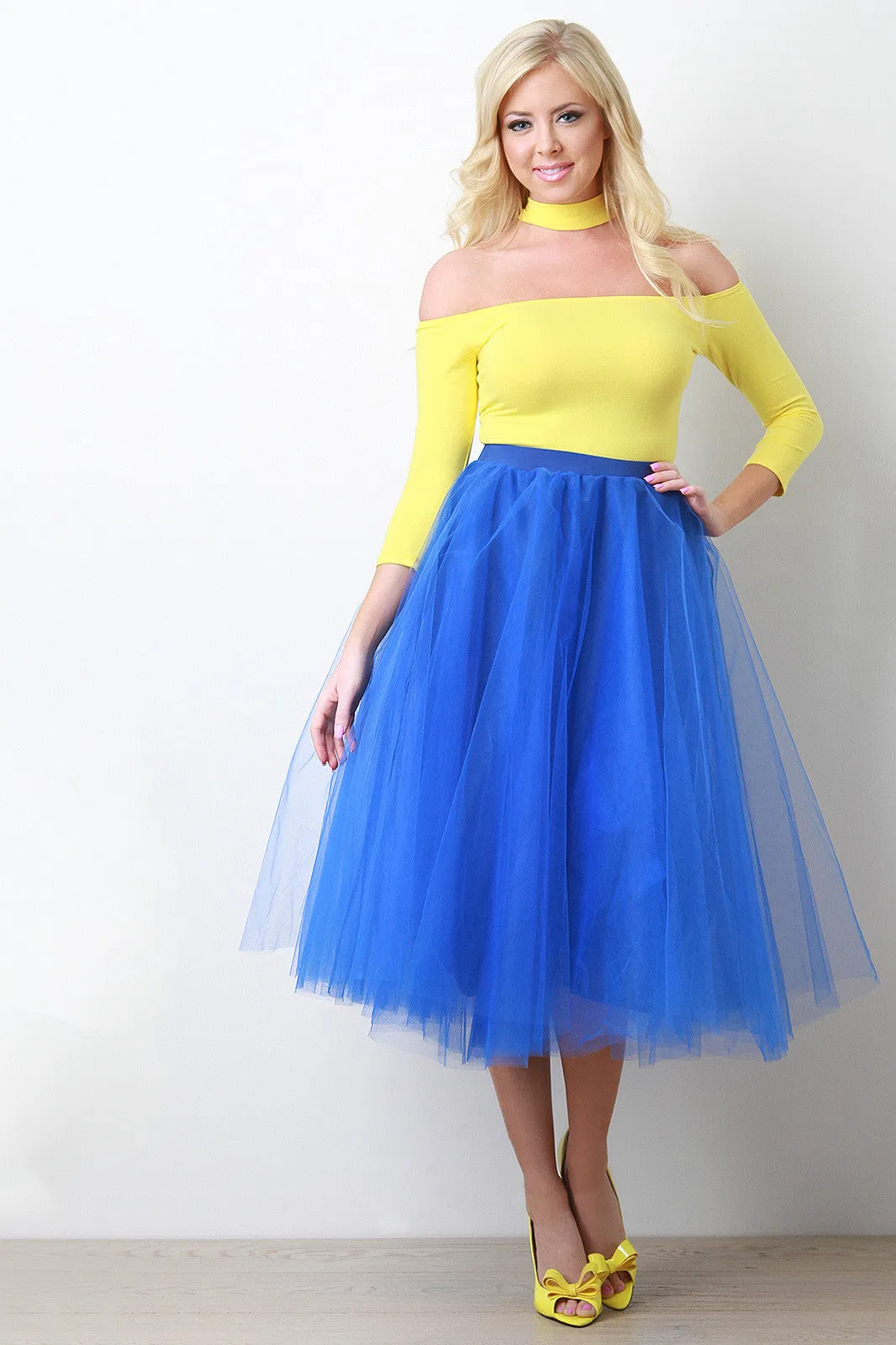 A-Line Soft Tulle Pleated Skirt