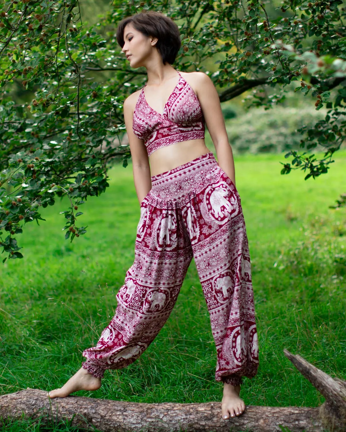 ALADDIN ELEPHANT HAREM HIGH CROTCH PANTS RED